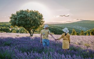 Couple dans un champ de lavande en Ardèche