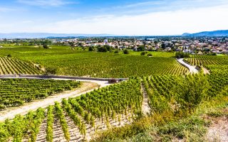 Domaine viticole de tain l'Hermitage en Ardèche